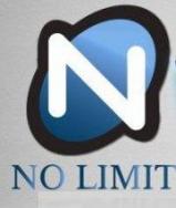 No Limit Painting