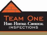 Team One inspections 