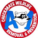 A-1 Checkmate Wildlife Removal