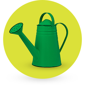 Green watering can