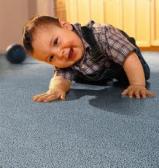 Arnquist Carpet Plus