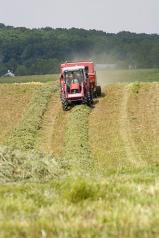 Farm Credit and Country Mortgages