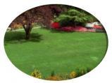 Roger's Landscaping & Lawn Care