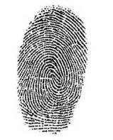 Digital Finger Printing Parry Sound