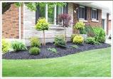 Curb Appeal Landscaping Inc