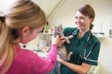 Animal Clinic of Rapid City