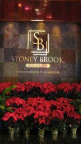 Stoney Brook