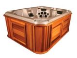 Lakeland Arctic Spas