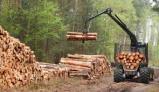 Burd Logging